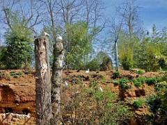 149 BIO PARC DE DOUE LA FONTAINE 6- 2016_000041